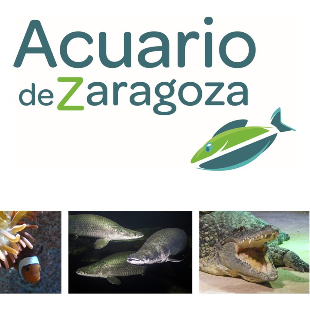 El Acuario Fluvial de Zaragoza está de enhorabuena – Viajar por Aragón ...